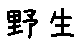 APJapanesefont