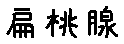 APJapanesefont